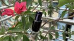 "Red African Attar by Al Haramain " রেড আফ্রিকান" শুরুতেই বলে রাখি "Red African"এই অসাধারণ সুগন্ধিটি খুবই মিষ্টি এবং বেস নোটে আসলে ফ্রেশ এবং ফ্রেশ স্পাইসি নোটে ভরপুর। বিশেষ করে গরম কালে এটা উইজ করলে এক ফ্রেশনেশ ফিল পাওয়া যাবে। কালো রংয়ের এই আতরটির সুবাস আপনাকে বলতে বাধ্যে করবে "ইসস!!! কতই না সুন্দর এর সুবাস,কতই না মধুর এর সুগন্ধি"এর মত মিষ্টতা যেন আর কিছুতে নেই। আপনাকে এই আতরটি যেমন দিবে রিফ্রেশিং সতেজতা তেমন দিবে মিষ্টি মন মাতানো স্মেল । শুরুতে ফ্রেশ স্পাইসির সাথে ক্যারামেল এবং ভ্যানিলার ভালো এক কম্বিনেশনের মাধ্যমে এর টপ নোট টি শুরু হবে,পরে আস্তে আস্তে এর মধ্যে পাওয়া যাবে মাস্কি,এনিম্যালিক,পাচৌলির এক ভালো সুবাস এবং শেষে পাবেন ফ্রেশ স্পাইসি,কুলিং,মেন্থল এর মত ফ্রেশ সব সুবাস যা এই গরম কালে ব্যবহারে খুবই আরাম দায়ক। নোট্স- fresh spicy,caramel,vanilla,sweet,amber balsamic,powdery,animalic.  Red African Attar Yt Review https://youtu.be/R-GHzQ-L7Jw