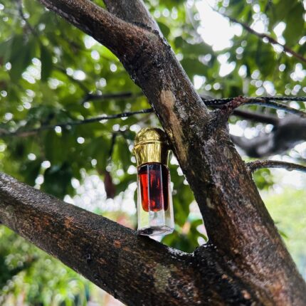 Dehn Al Oud Cambodi Shakhsi Perfume Oil