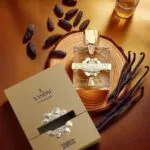 X Xandal Aromatix X French Avenue