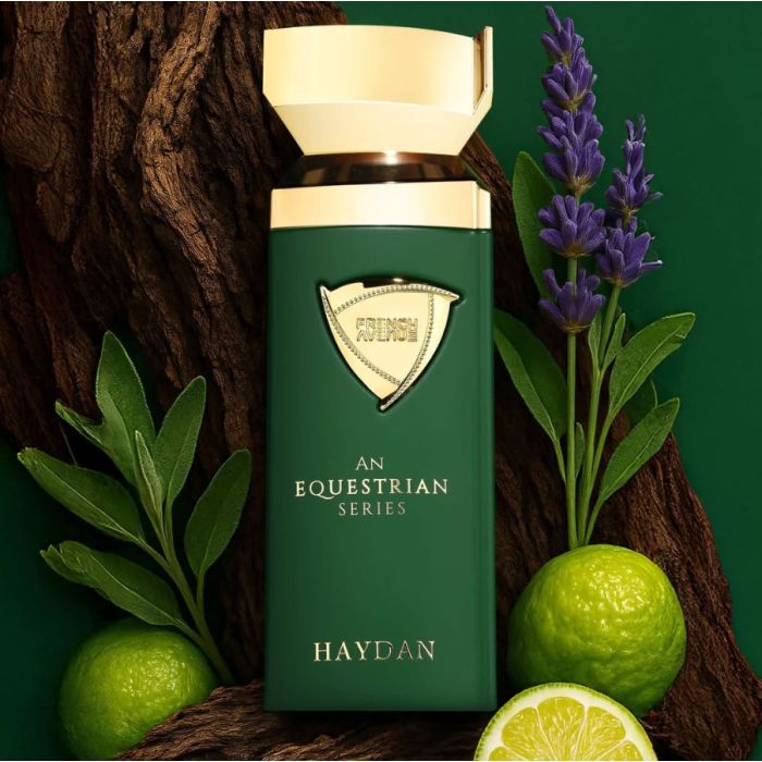 Haydan by French Avenue An Equestrian Series